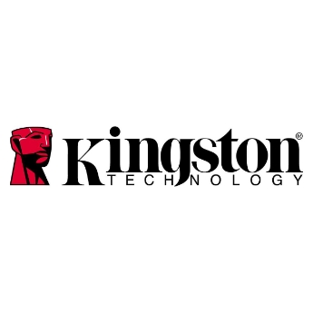 Picture for manufacturer Kingston