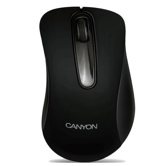 Picture of Mouse CANYON (CNE-CMS2)