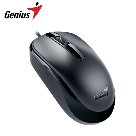 სურათი მაუსი Genius (DX-120) USB
