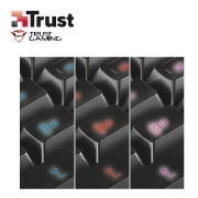 Picture of Keyboard TRUST GXT 285 GADA (21201) USB