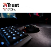 Picture of Keyboard TRUST GXT 285 GADA (21201) USB