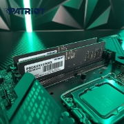 Picture of MEMORY PATRIOT SIGNATURE LINE PSD58G520041 8GB DDR5 5200MHZ