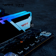 Picture of MEMORY PATRIOT VIPER VENOM RGB PVVR532G680C34K DDR5 32GB 6800Mhz