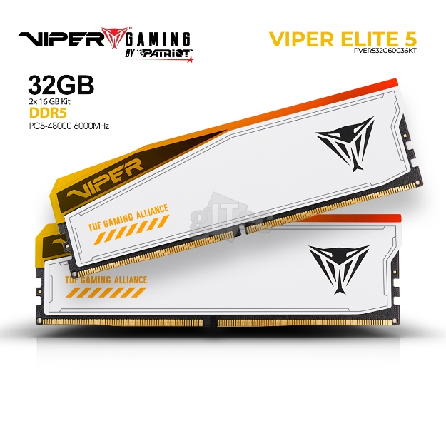 Picture of მეხსიერება PATRIOT VIPER Elite 5 TUF GAMING RGB PVER532G60C36KT 32GB DDR5 6000Mhz White